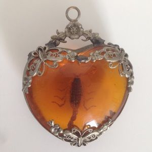 Scorpion Amber Heart Pendant Insect Bug Necklace
